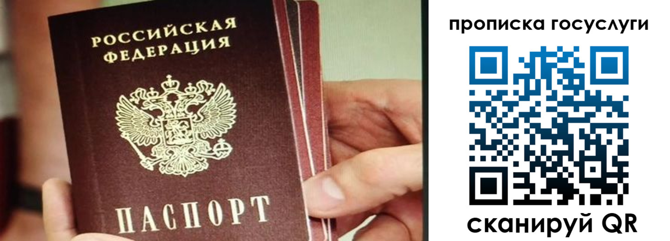 пропишу в квартире в Нелидово